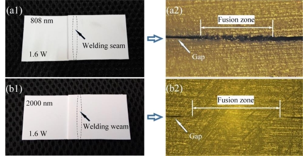 圖片:0.808μm和2μm激光焊接白色PP結(jié)果:(a1,b1)實(shí)物圖;(a2,b2)截面切片顯微圖 圖片:0.808μm和2μm激光焊接白色PP結(jié)果:(a1,b1)實(shí)物圖;(a2,b2)截面切片顯微圖